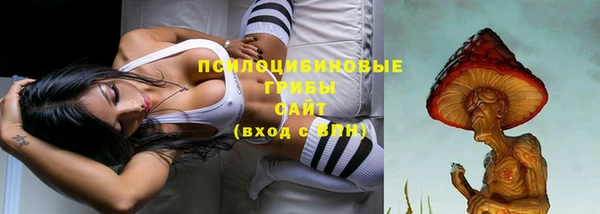 шишки Белокуриха