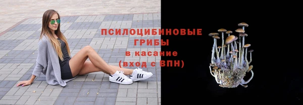 шишки Белокуриха