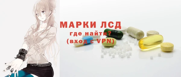 шишки Белокуриха