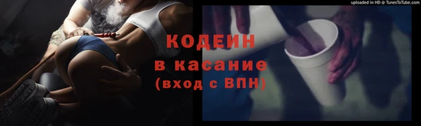 шишки Белокуриха