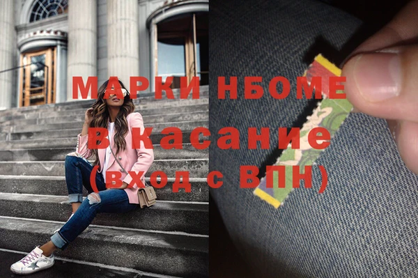 шишки Белокуриха