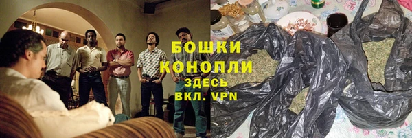 шишки Белокуриха