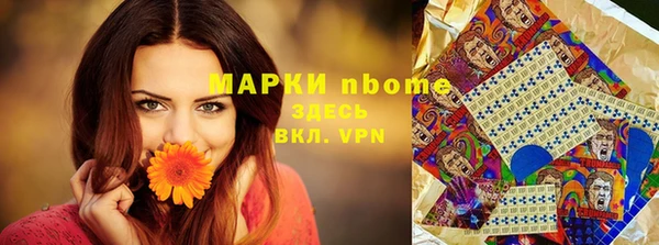 шишки Белокуриха