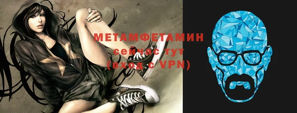 шишки Белокуриха
