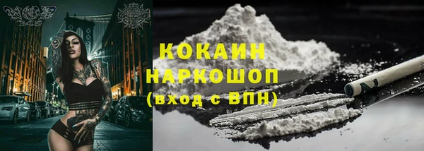 шишки Белокуриха