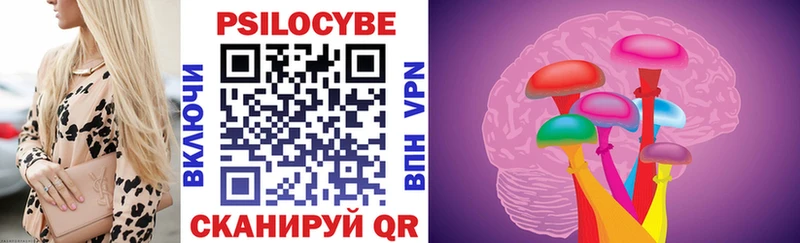 Псилоцибиновые грибы Psilocybe  Острогожск 