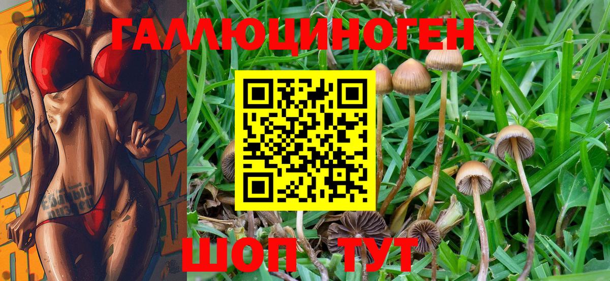 Псилоцибиновые грибы Psilocybe  Вход с VPN  Псилоцибиновые грибы ЛСД  Острогожск 