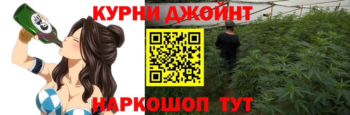 Конопля семена Острогожск
